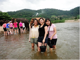 Jul 12 Newsletter Externship2