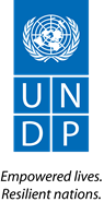 Bigger UNDP_new