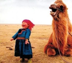 camel smiles