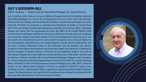 Guy S Goodwin-Gill